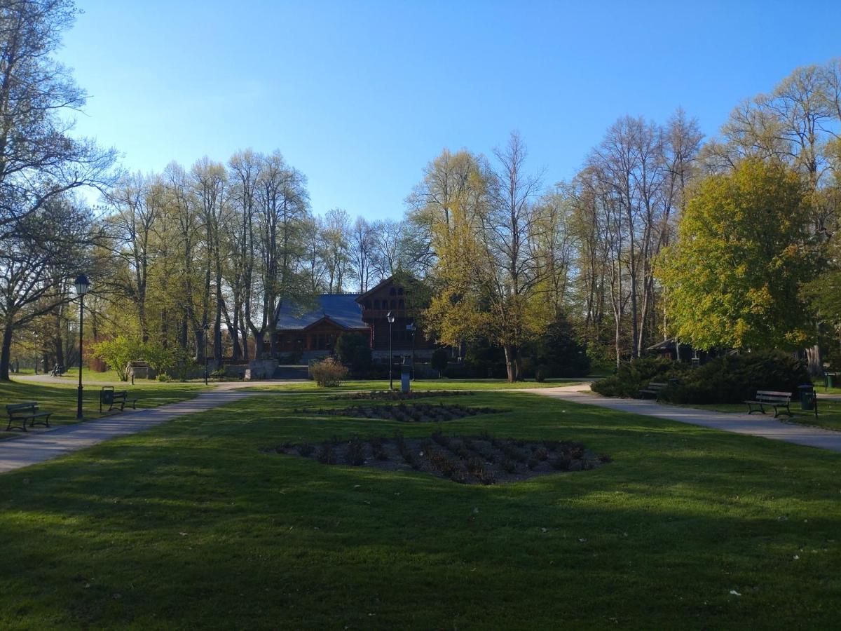 Apartament Almar Cieplice-Zdroj يلينيا غورا المظهر الخارجي الصورة