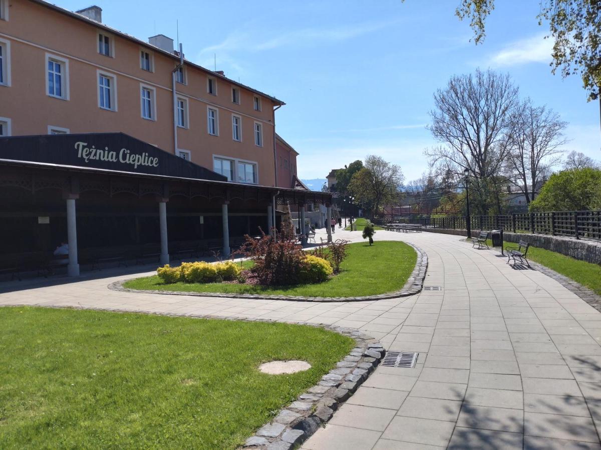 Apartament Almar Cieplice-Zdroj يلينيا غورا المظهر الخارجي الصورة
